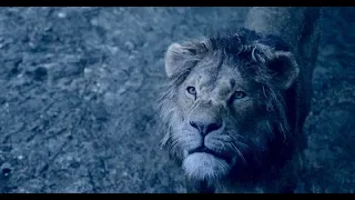 True King | Lion King | In Cinemas 19 July