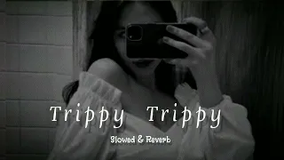 Trippy Trippy    【slowed & reverb】   BHOOMI