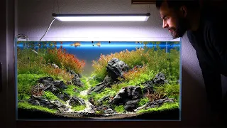 BRAZILIAN AQUASCAPE 😱 28DAYS of PLANT GROWTH *STUNNING*