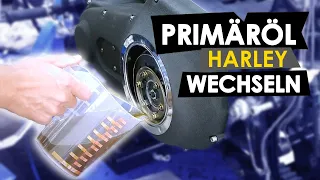 Primäröl wechseln bei Harley Davidson Motorrädern - @jncycles