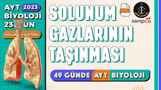 23) Solunum Gazlarının Taşınması | Solunum Sistemi 11. Sınıf | 2023 AYT Biyoloji Kampı 23. Gün