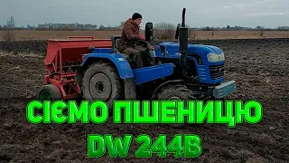 Сіємо пшеницю | DW 244B