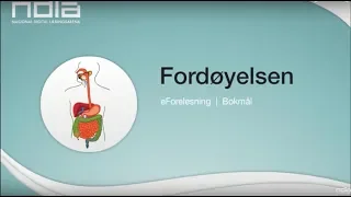 Fordøyelsen