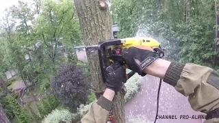 Удаление дерева частями