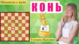 Ход конем: Шахматы с нуля #6