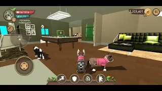 как победить всех БОССОВ в Игре CAT SIM😍😱. Очень просто и  легко,