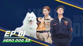 【FULL】Hero Dog Season 3 EP01 | 神犬小七3 | Jo Jiang 姜潮, Cecilia Boey 宋妍霏 | iQiyi