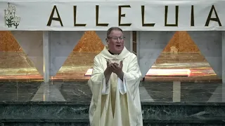 Father Mark's Homily for April 18, 2021 - Third Sunday of Easter