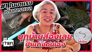 งวดนี้ฉันต้องถูกหวย! บุกบ้านป้าแดง ส่องเลขเด็ด เยี่ยมสัตว์เลี้ยงนำโชค