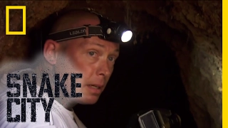 Simon vs. Rock Python - Episode 2 | Deadliest Snake Encounters