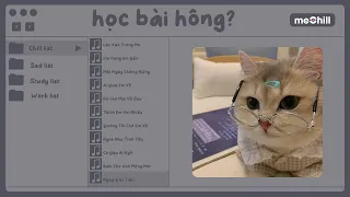 [playlist speed up] list nhạc học bài cực tập trung | Con Mèo Béo