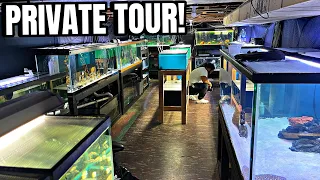 MAN TURNS BASEMENT INTO HUGE FISH ROOM!