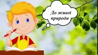 Урок 23  Природознавство 1 клас.  Якими бувають рослини?