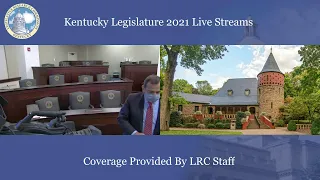 Interim Joint Committee on Local Government (9-21-21)