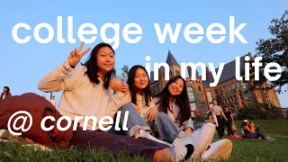 college week in my life| CORNELL VLOG| week in my life, korean food, dessert, potluck