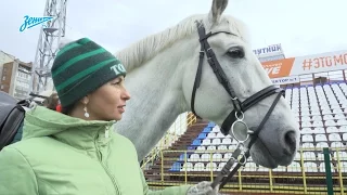 Скрытая камера «Зенит-ТВ» на матче против «Томи»