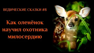 ВЕДИЧЕСКИЕ СКАЗКИ 8 - Как оленёнок научил охотника милосердию (Читает Александр Перешивайлов)