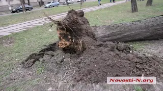 Видео "Новости-N": В Николаеве на маршрутку упало дерево, пострадали дети