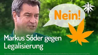 Markus Söder gegen Legalisierung | DHV-News #259