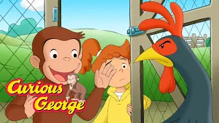 George's Farmyard Friends 🐵 Curious George 🐵 Kids Cartoon 🐵 Kids Movies 🐵 Videos for Kids