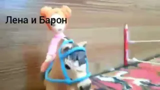 Долгожданные соревнования schleich по канкуру 🏇🐎🐴♥️. Вас 22!!!!♥️♥️♥️♥️♥️🐴🐴🐴