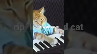 rest in peace keyboard cat