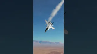 Mig-31 vs F-15 Fighter Jet in dcs world film