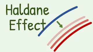 Haldane Effect in Transport of Carbon Dioxide