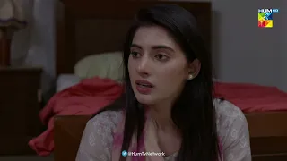 Lubna Ki Nazar Arsalan Ke Bhai Par...!! - Ant Ul Hayat - HUM TV