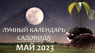 Лунный Посевной Календарь на май 2023. Что и когда сажать и пересаживать в мае 23