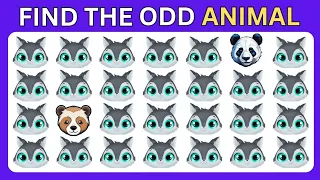 Find the odd one out ! Animals new Edition 🦄 🐶🐼 ! Emoji Quiz Easy, Medium, Hard Levels