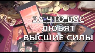 🕊️ ЗА ЧТО ВАС ЛЮБЯТ ВЫСШИЕ СИЛЫ что хотят вам сказать СЕЙЧАС Таро знаки судьбы #tarot