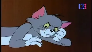 El Show de Tom y Jerry (1975) - The Castle Wiz (Español Latino) + Intro