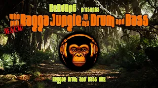 Who Put Back Ragga Jungle in my Drum and Bass - Reggae Drum & Bass Mix