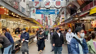 【4K】Tokyo Walk - Akihabara to Ueno (Nov.2020)