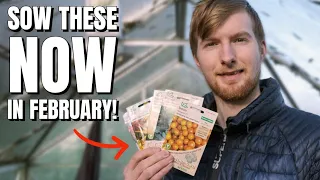 Vegetable Seeds YOU NEED To Sow In February! Gardening For Beginners