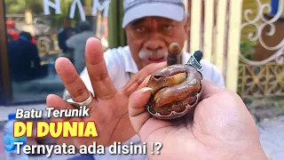 BURUAN ! INI YANG DICARI BANYAK ORANG ! Batu Akik Unik Antik dan Langka di Lapak Aziz Akik Surabaya