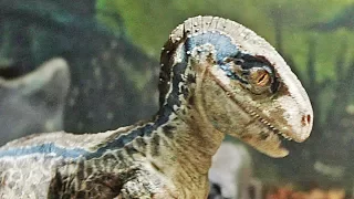 Jurassic World 2: Fallen Kingdom - Meet Blue | official trailer teaser #6 (2018)