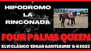 XLVI Clásico "EDGAR GANTEAUME" G-II 2023 - FOUR PALMS QUEEN - Hipódromo La Rinconada - C416