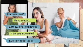 Анекдот Дня врача, архитектора и животных