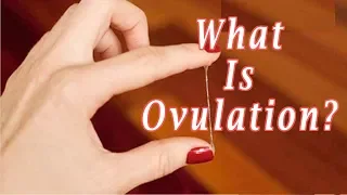 what Does Ovulation Mean -- What Is Ovulation?