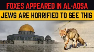 Jew are Horrified to see FOXES in Al-Aqsa | Islamic Lectures