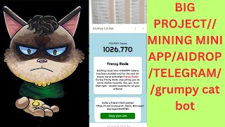 BIG PROJECT// MINING MINI APP/AIDROP/TELEGRAM//grumpy cat bot