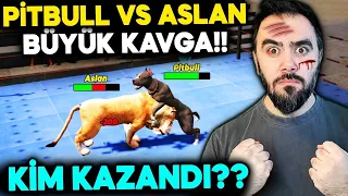 BUNA YÜREK DAYANMAZ!!! KÖPEK KAFES DÖVÜŞÜ YAPTI - GTA 5 MODS