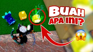 Dapat BUAH LANGKA!😱Berburu Buah Blox Fruits