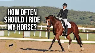 HOW OFTEN SHOULD I RIDE MY HORSE? - Dressage Mastery TV Episode 286