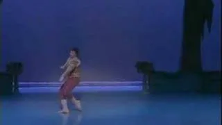 Solo (Begining)- Swan Lake