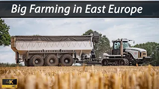 🇩🇪 Big Farming in East Europe 2023 - Farming XXL - BEST OF 2023 ▶ Agriculture Germanyy