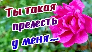 Ты - такая прелесть у меня... обожаю!