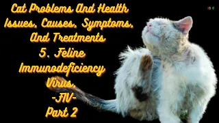 5  Feline Immunodeficiency Virus,  FIV PART2 2